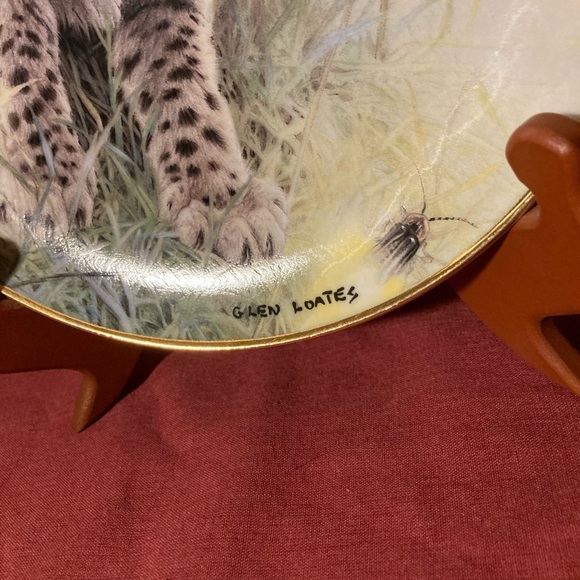 Baby Big-Cat decorative plate - Picture 3 of 4